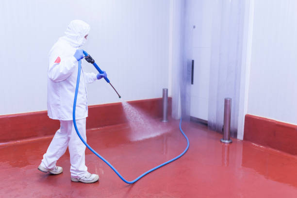 Best Sidewalk and Walkway Cleaning  in Inola, OK
